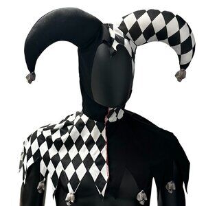 Harlequin Jester Costume With Skull Accents Adult Unisex Halloween